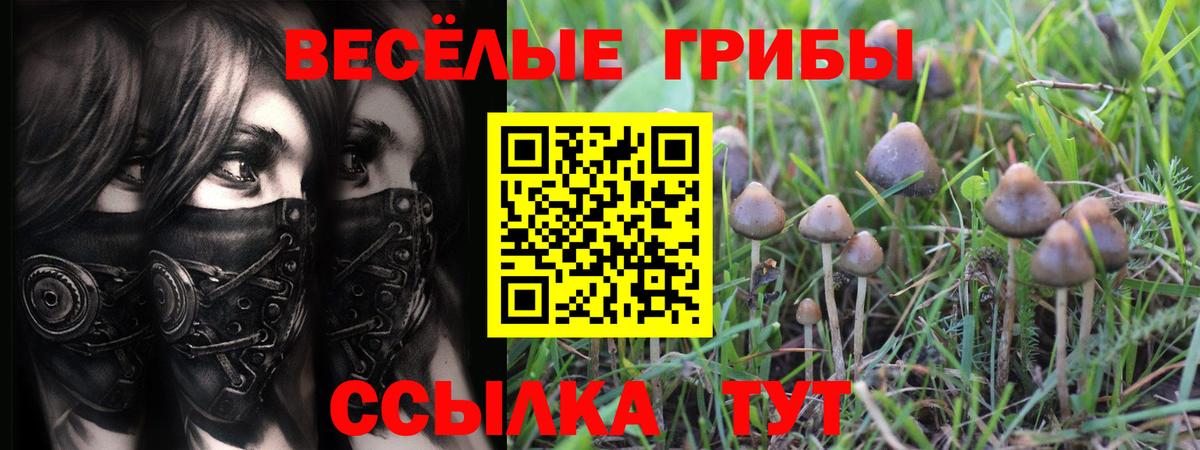 Галлюциногенные грибы MAGIC MUSHROOMS Медногорск